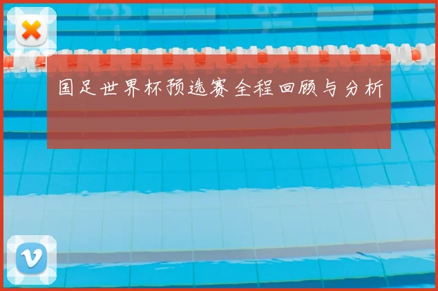国足世界杯预选赛全程回顾与分析